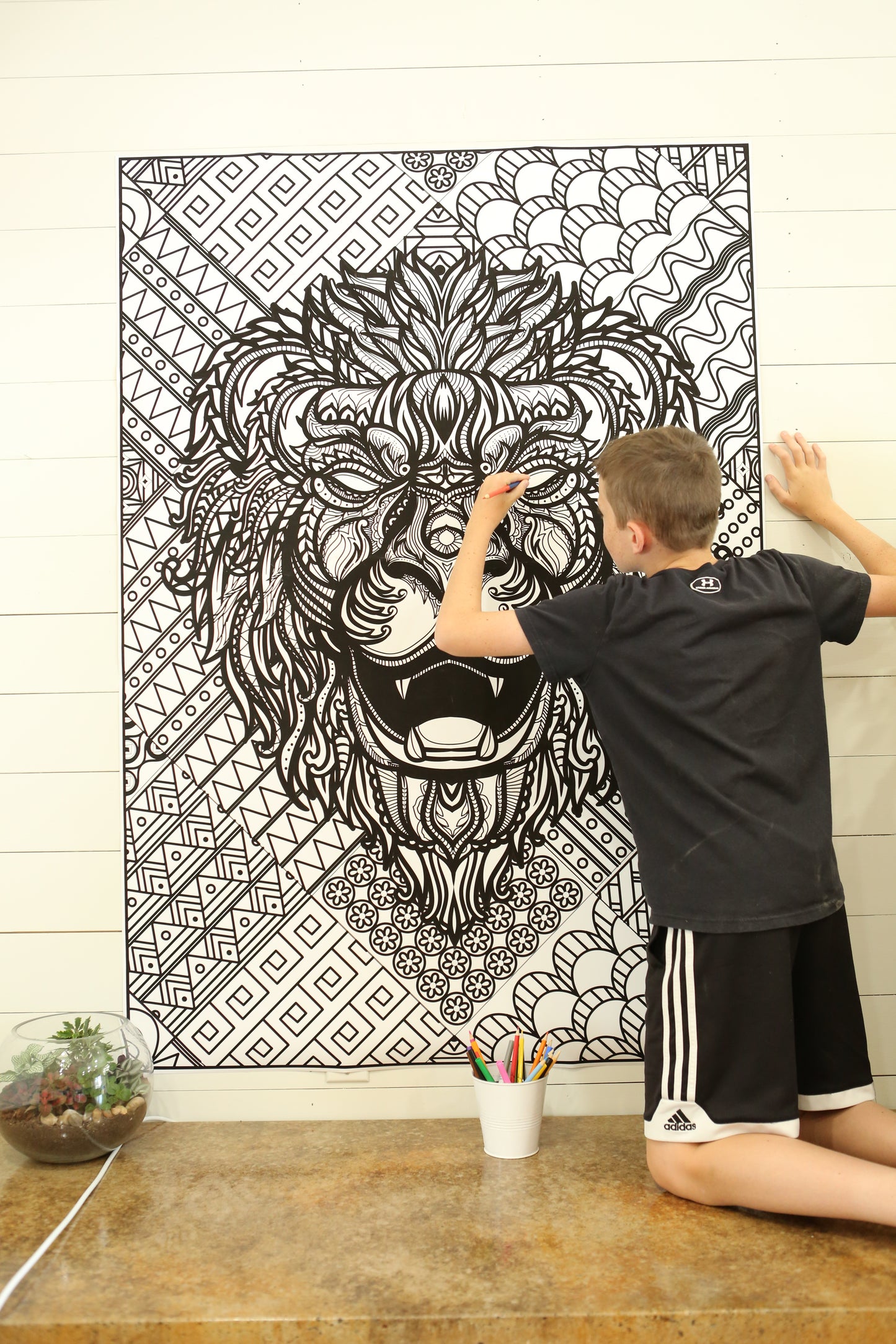 Premium Giant Lion Coloring Poster