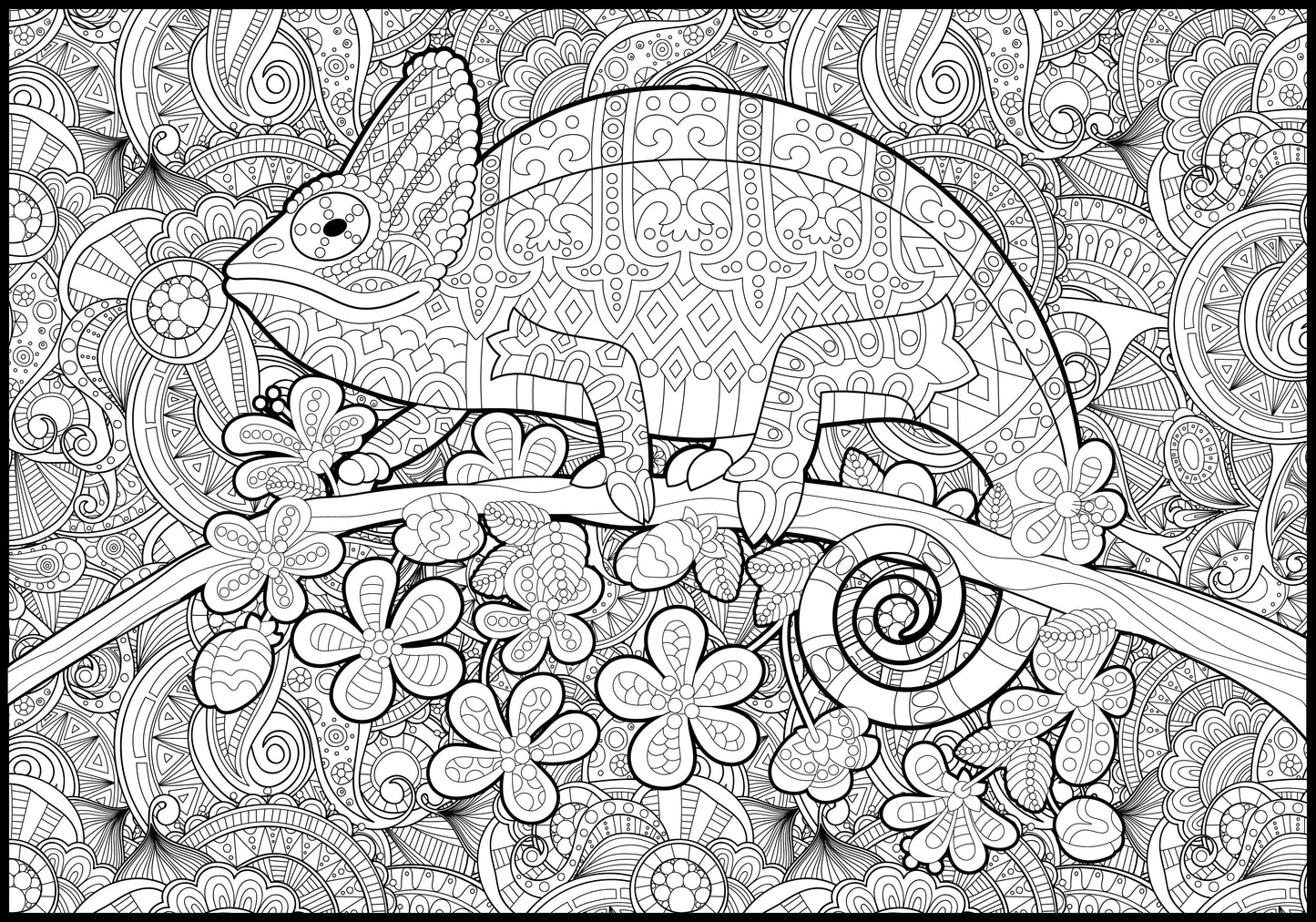 Chameleon Coloring Poster