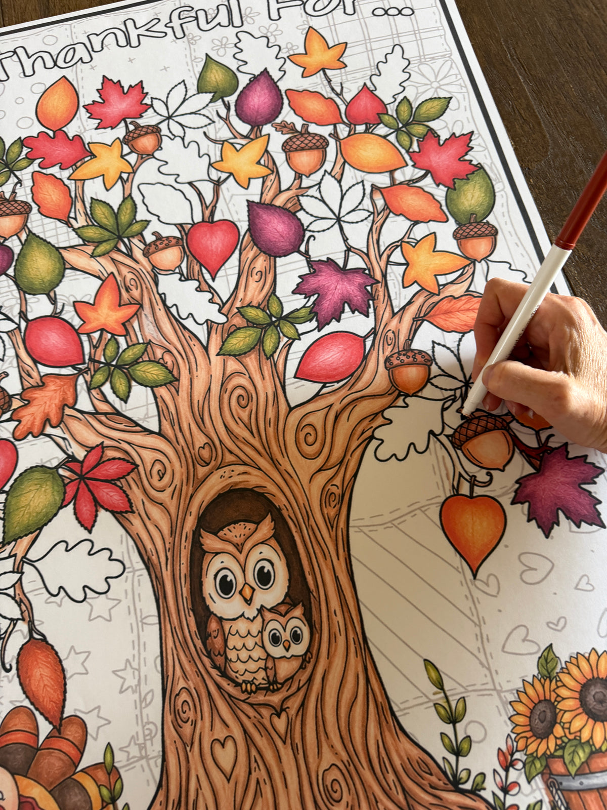Thankful, Thanksgiving, Tree, Owl, turkey, Leaves, 