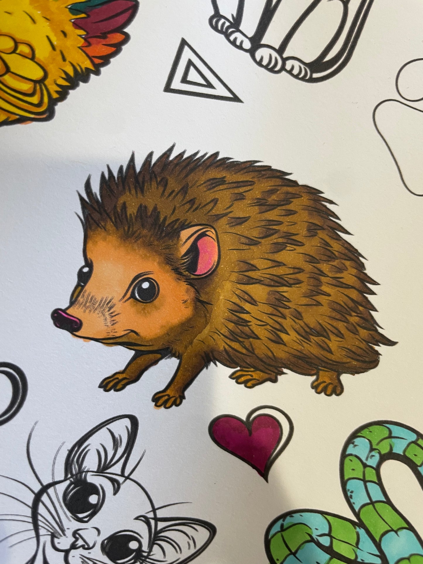 Personalized Giant Pet Coloring Poster | Team Group Coloring