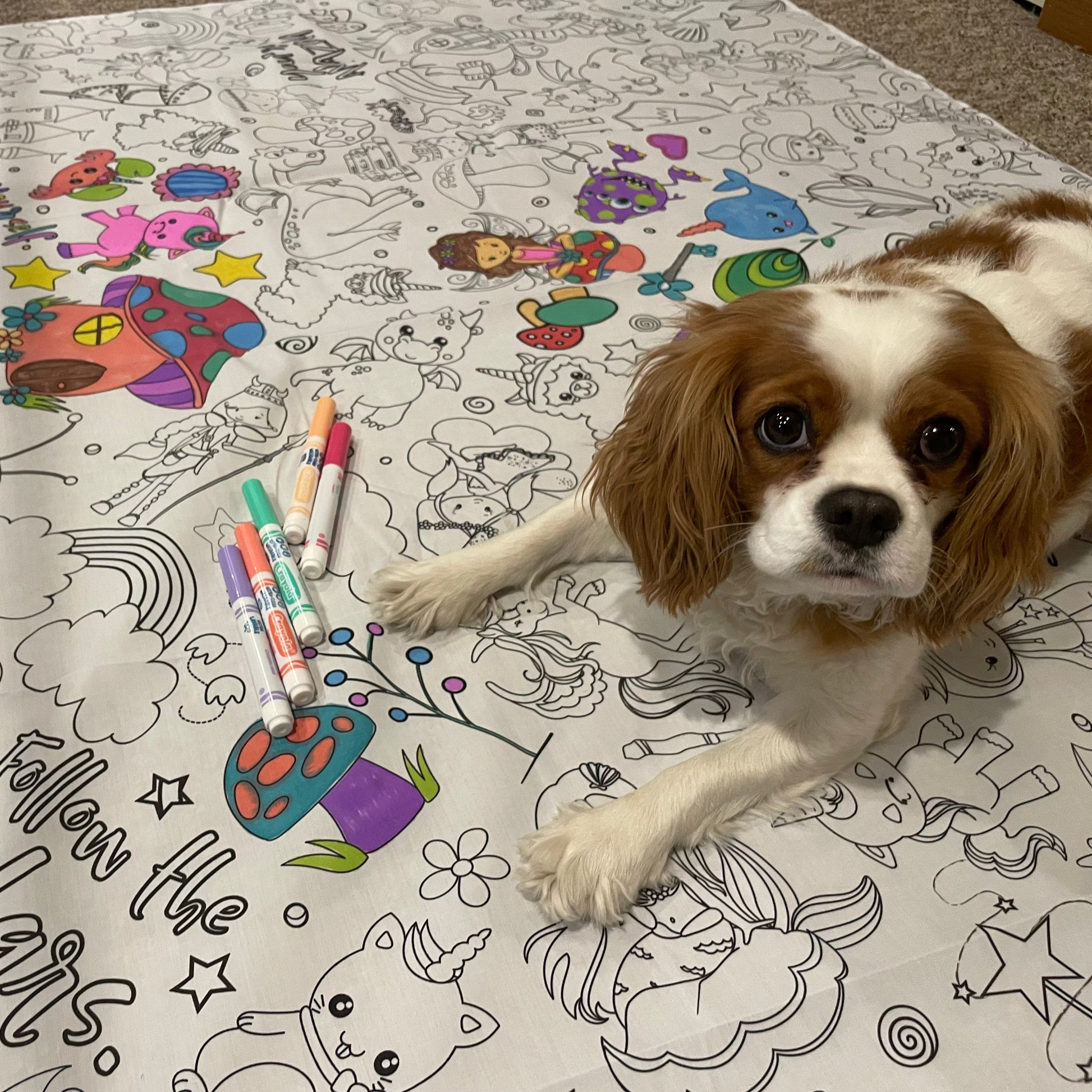 Cavalier Dog laying on an Artistic Chaos Ink Fabric coloring tablecloth with markers on the floor